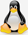Linux Hosting India